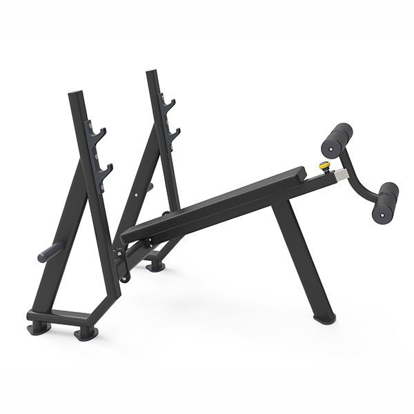 Strength Training Decline Chest Press Bench