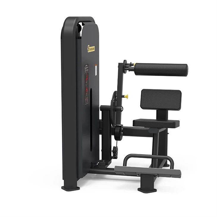 Gym Seated Abdominal Trainer
