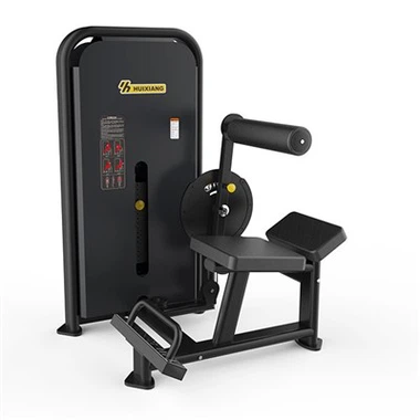 The Dual Function Seated Abdomen Back Trainer