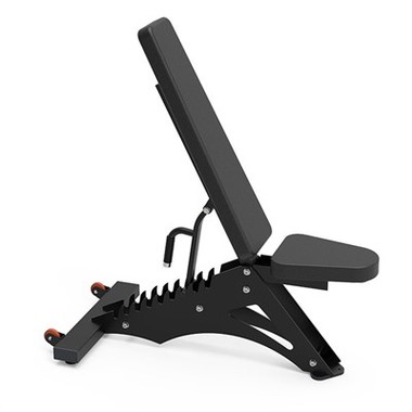 Adjustable Dumbbell Bench