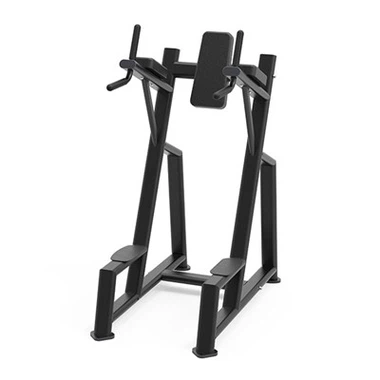 Gym Chin-Up Bench