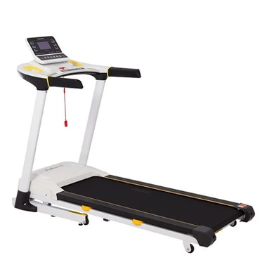 Indoor Folding Electric Treadmill